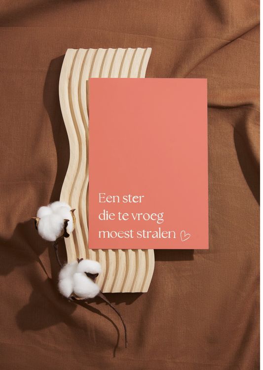 Een ster die te vroeg moest stralen